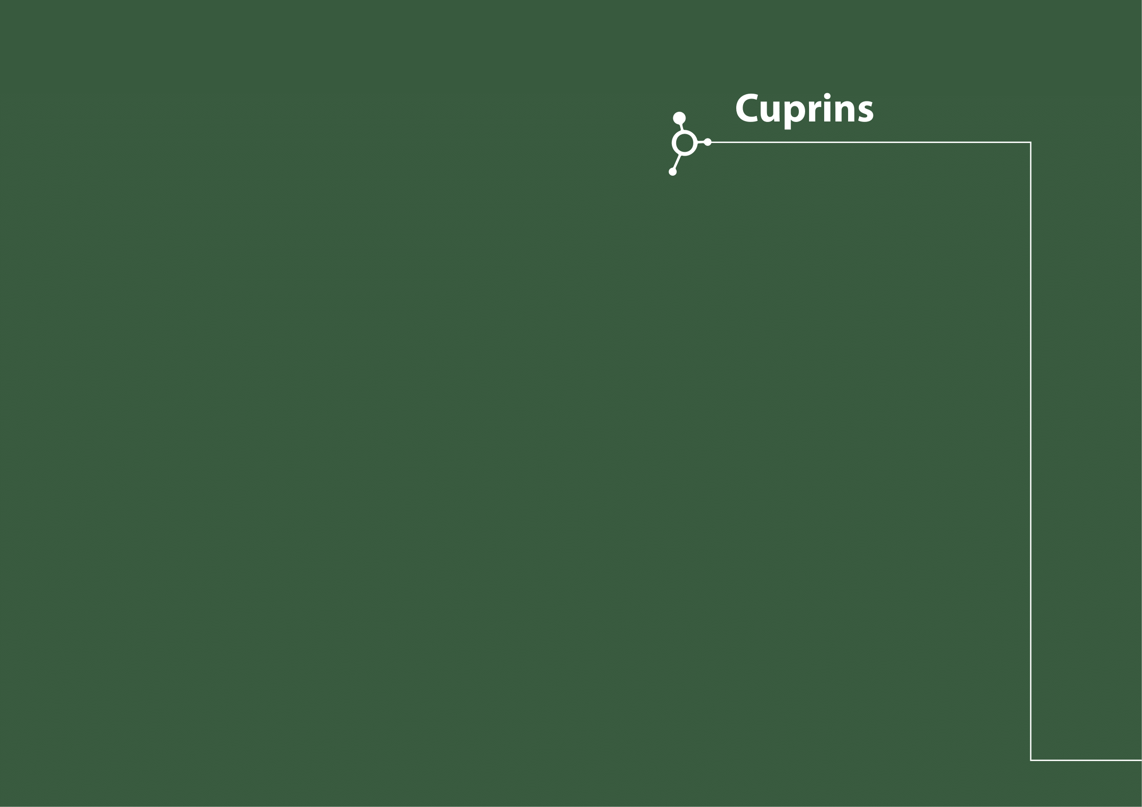 Rapoarte de sustenabilitate 2021