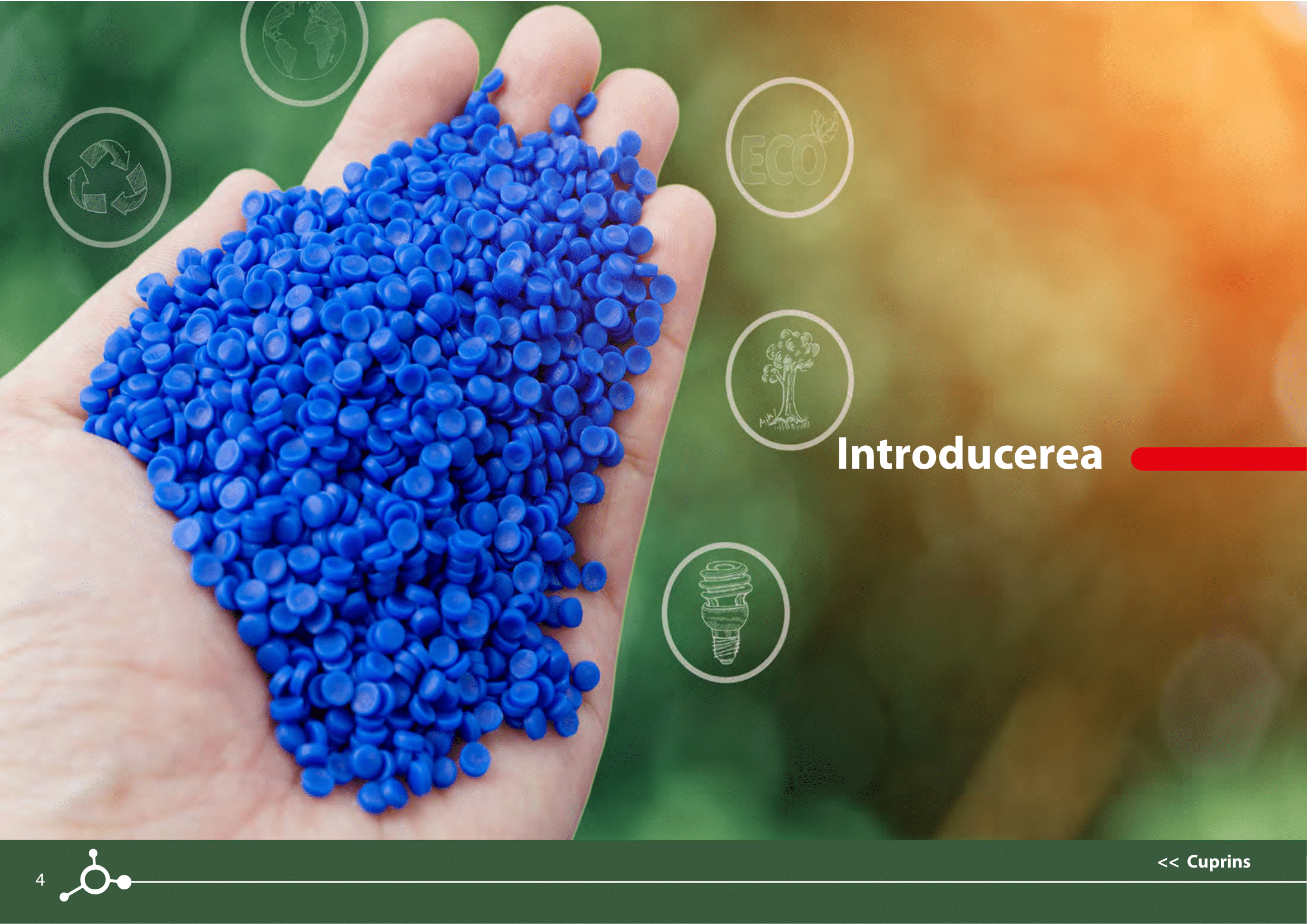 Rapoarte de sustenabilitate 2021