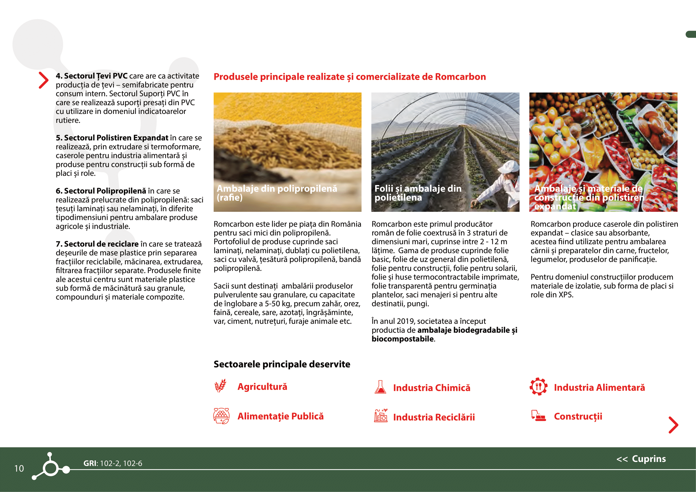 Rapoarte de sustenabilitate 2021