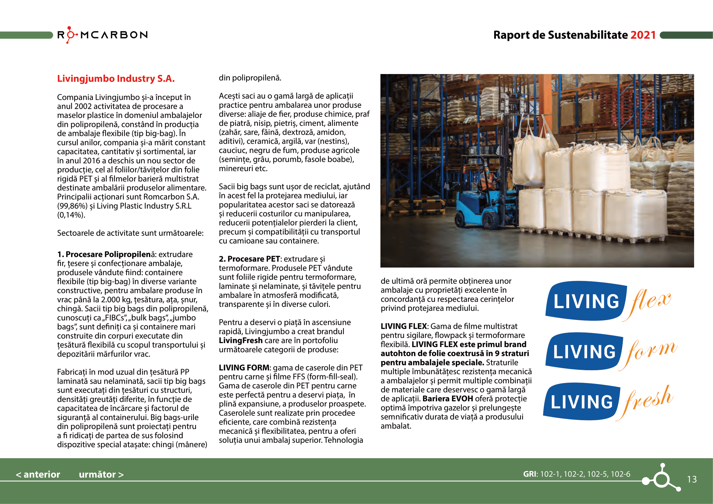 Rapoarte de sustenabilitate 2021