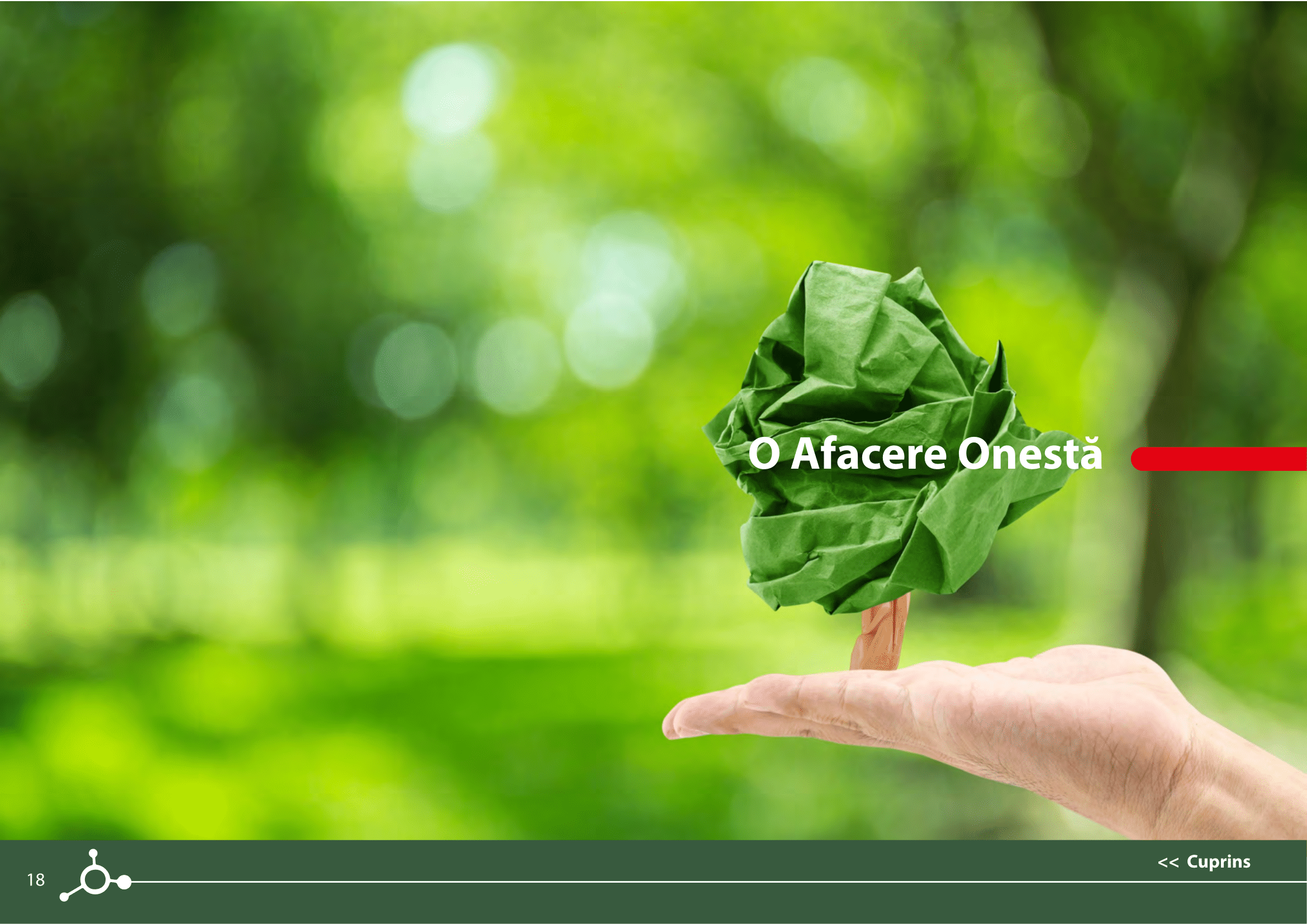 Rapoarte de sustenabilitate 2021