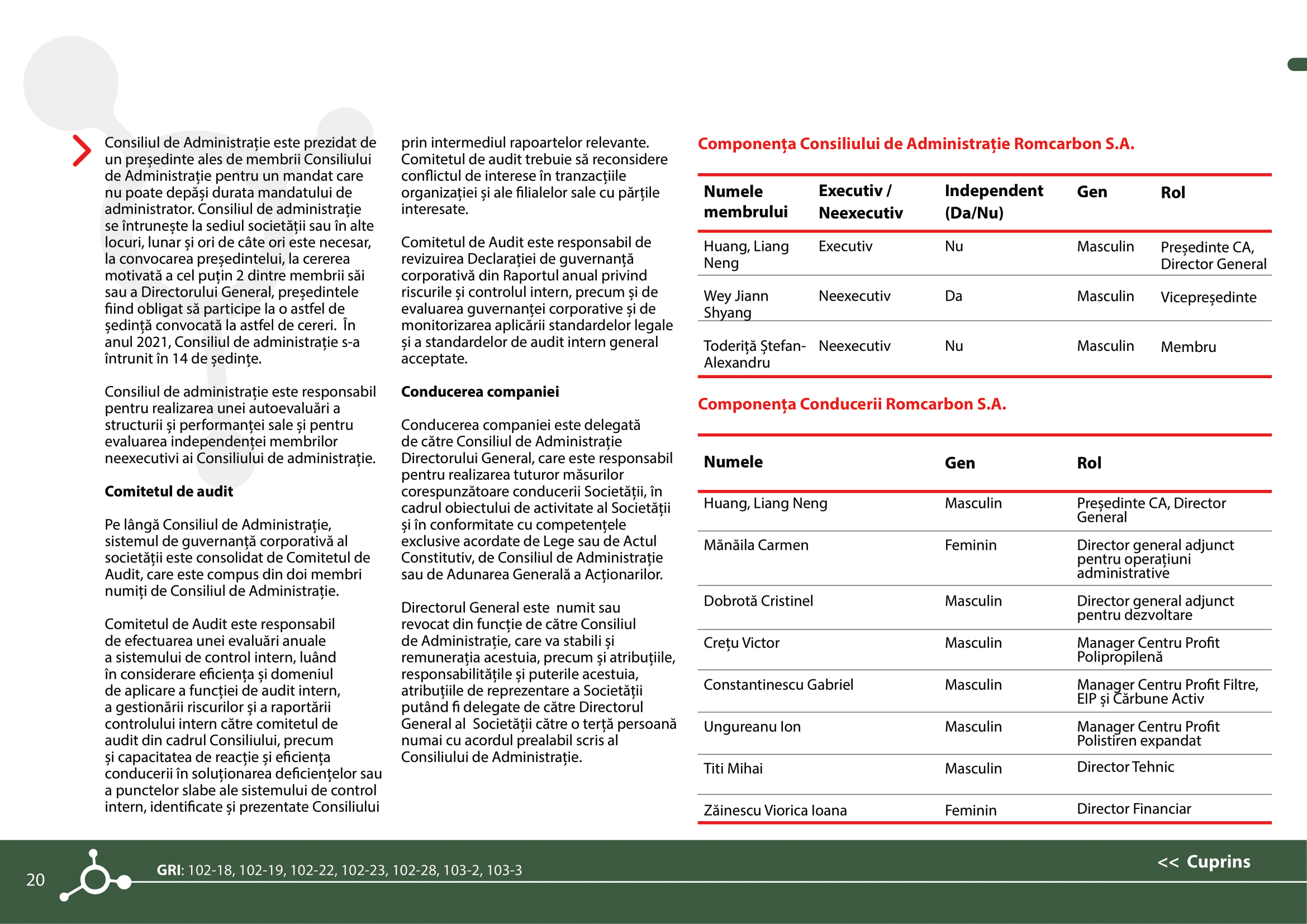 Rapoarte de sustenabilitate 2021