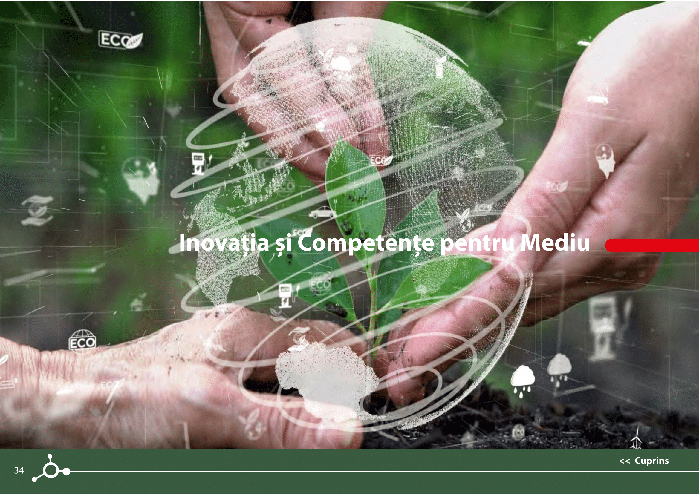 Rapoarte de sustenabilitate 2021