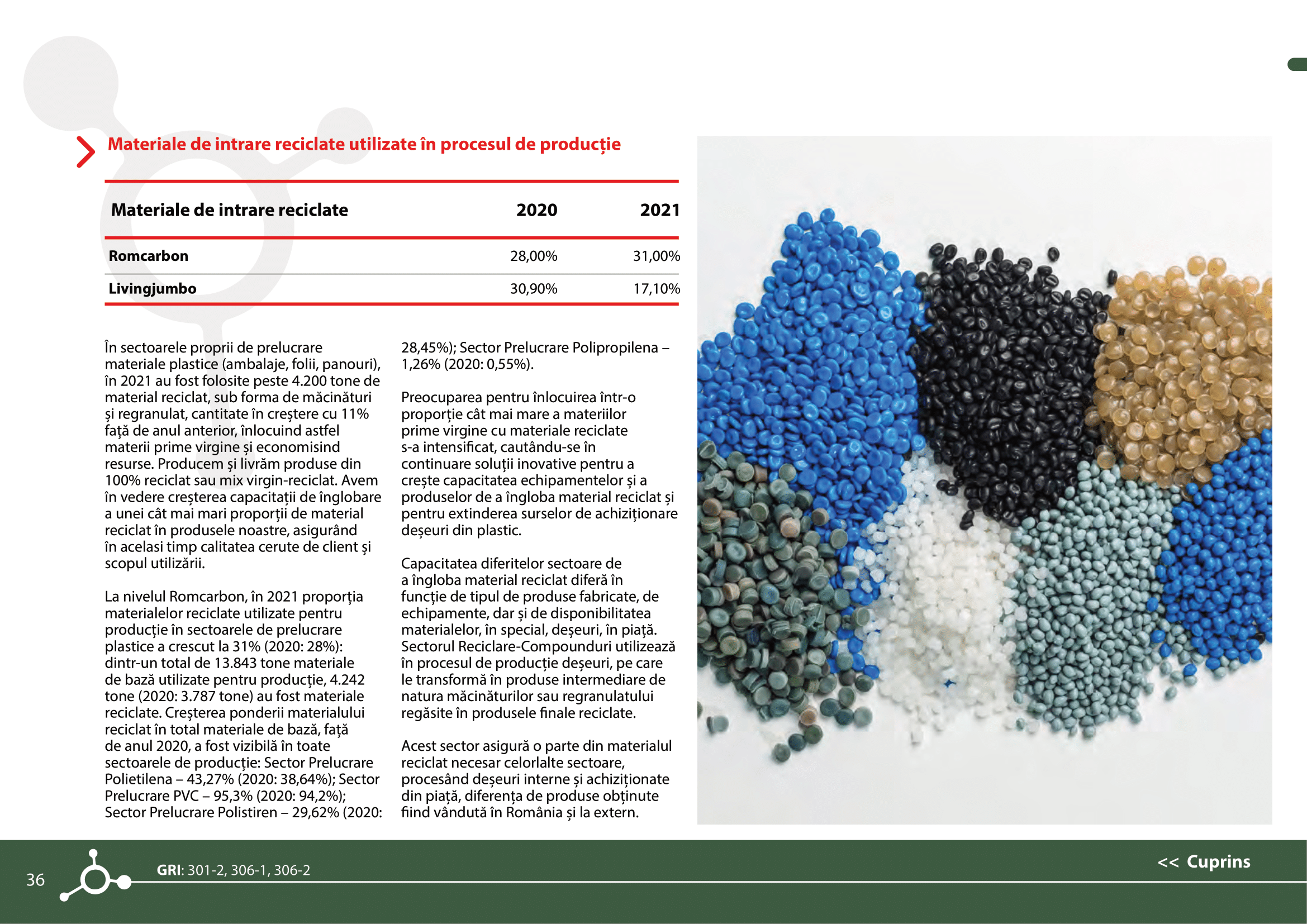 Rapoarte de sustenabilitate 2021