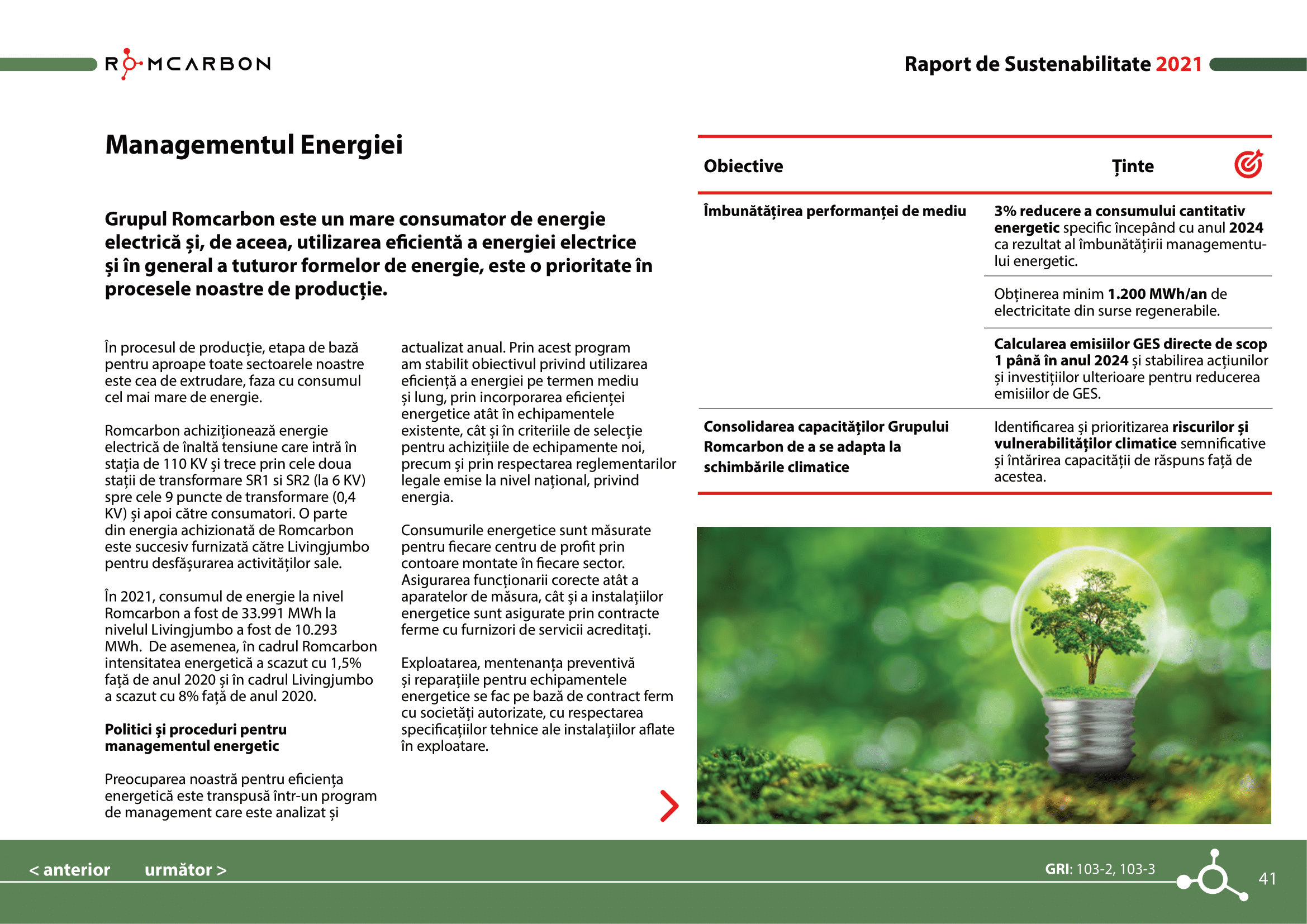 Rapoarte de sustenabilitate 2021