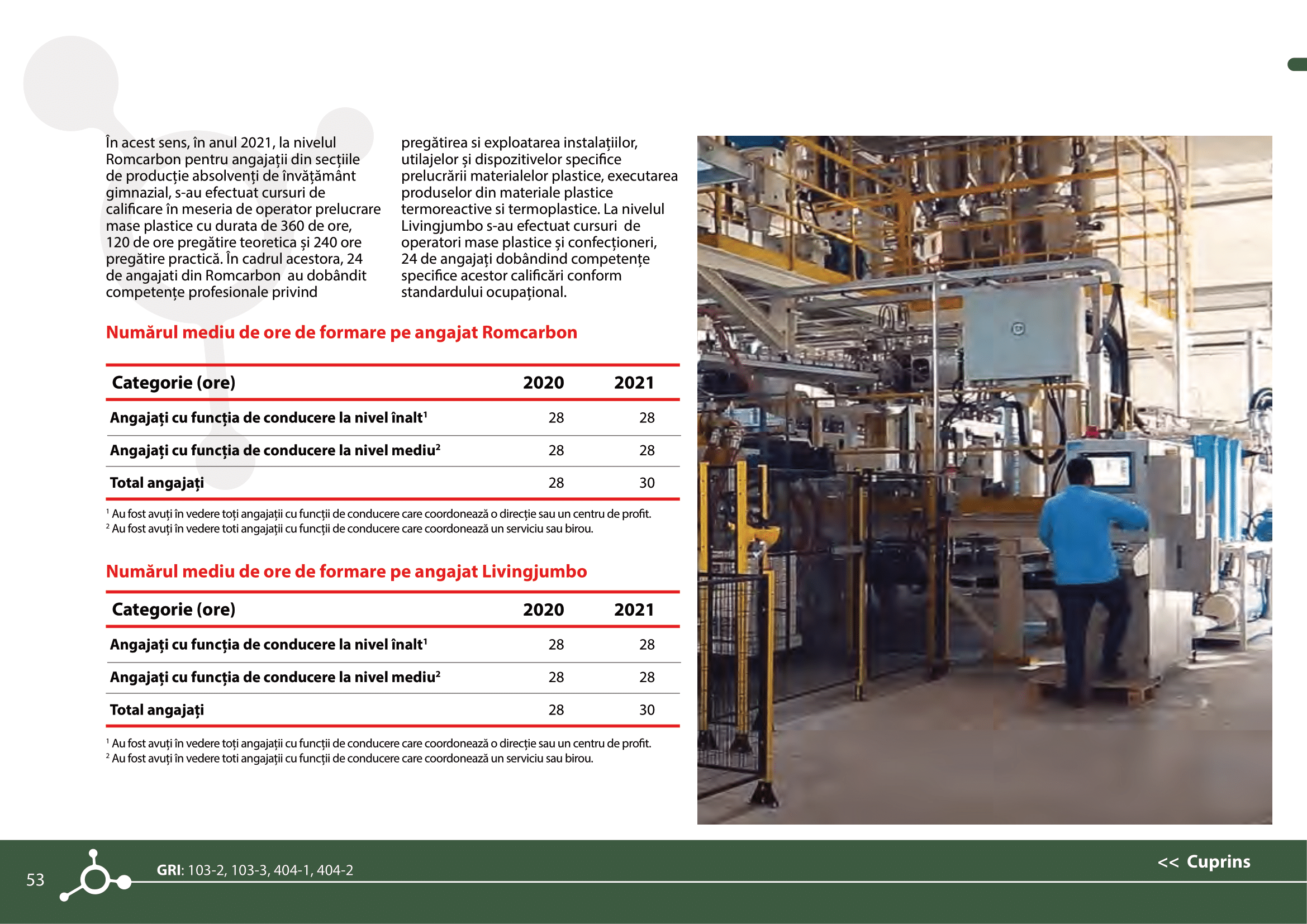 Rapoarte de sustenabilitate 2021