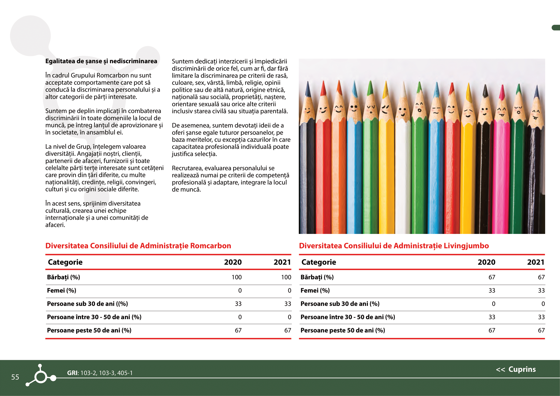 Rapoarte de sustenabilitate 2021