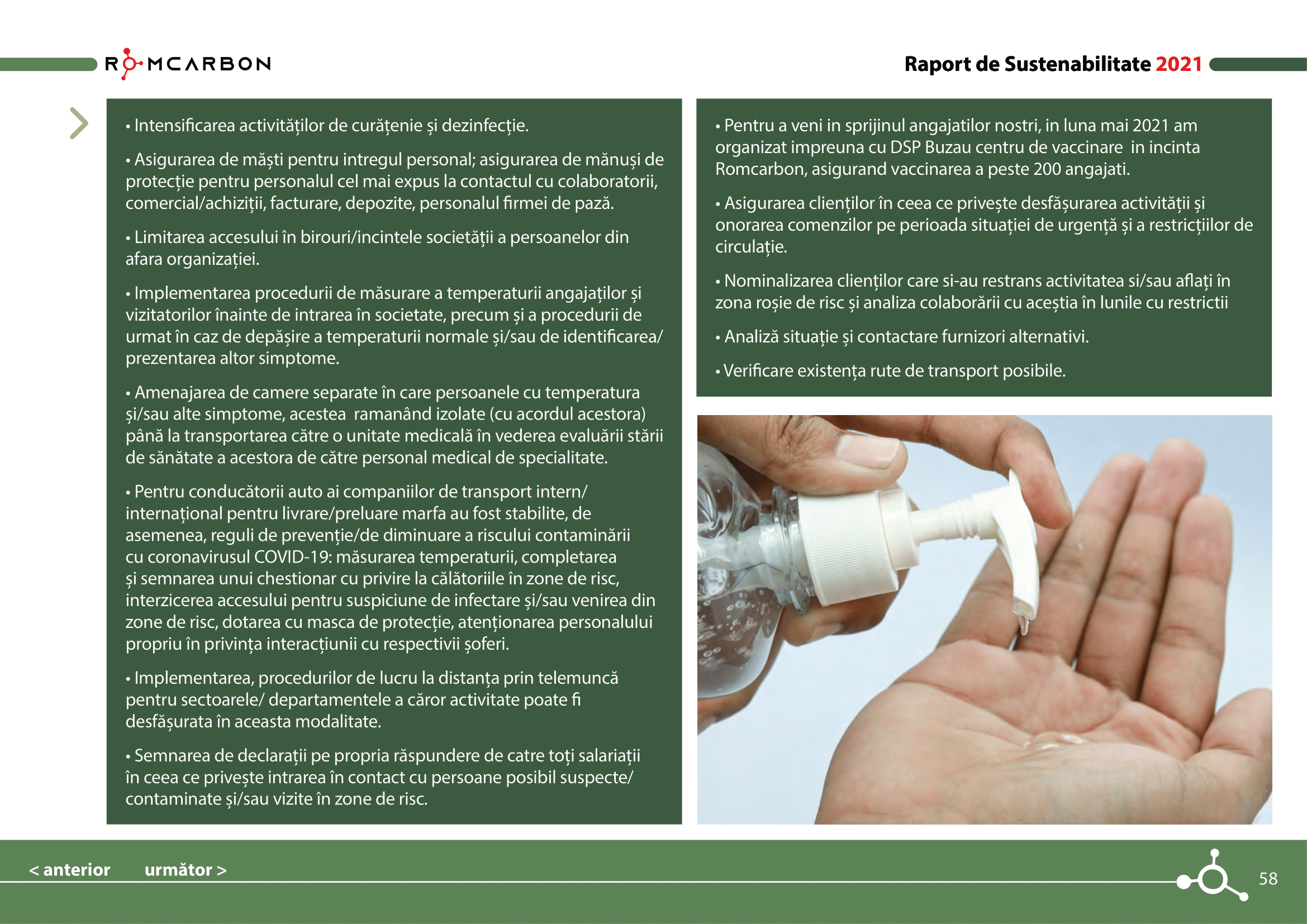 Rapoarte de sustenabilitate 2021