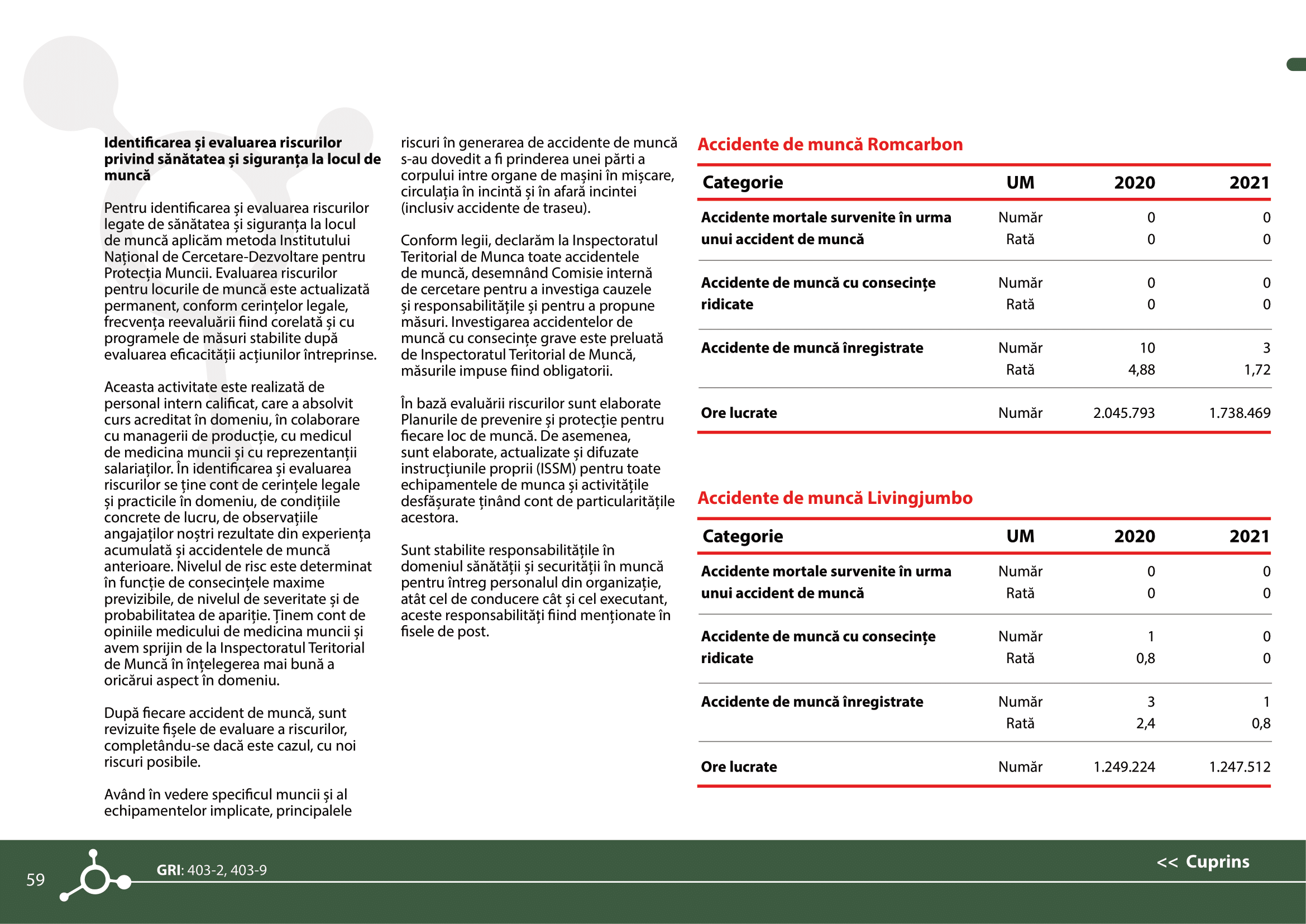 Rapoarte de sustenabilitate 2021