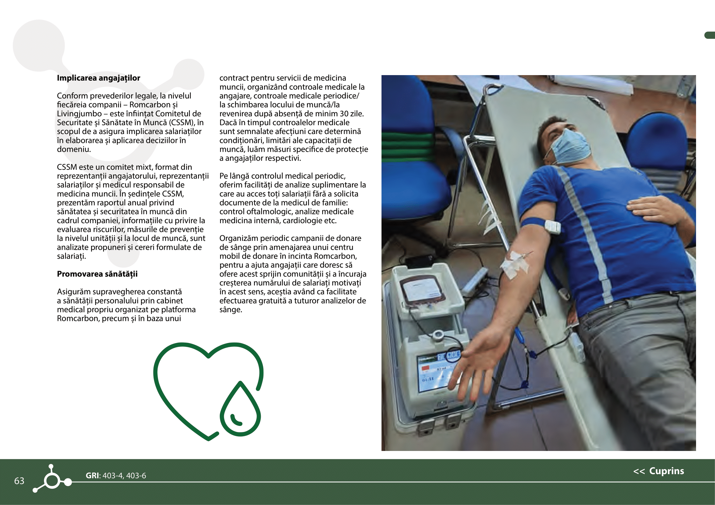 Rapoarte de sustenabilitate 2021