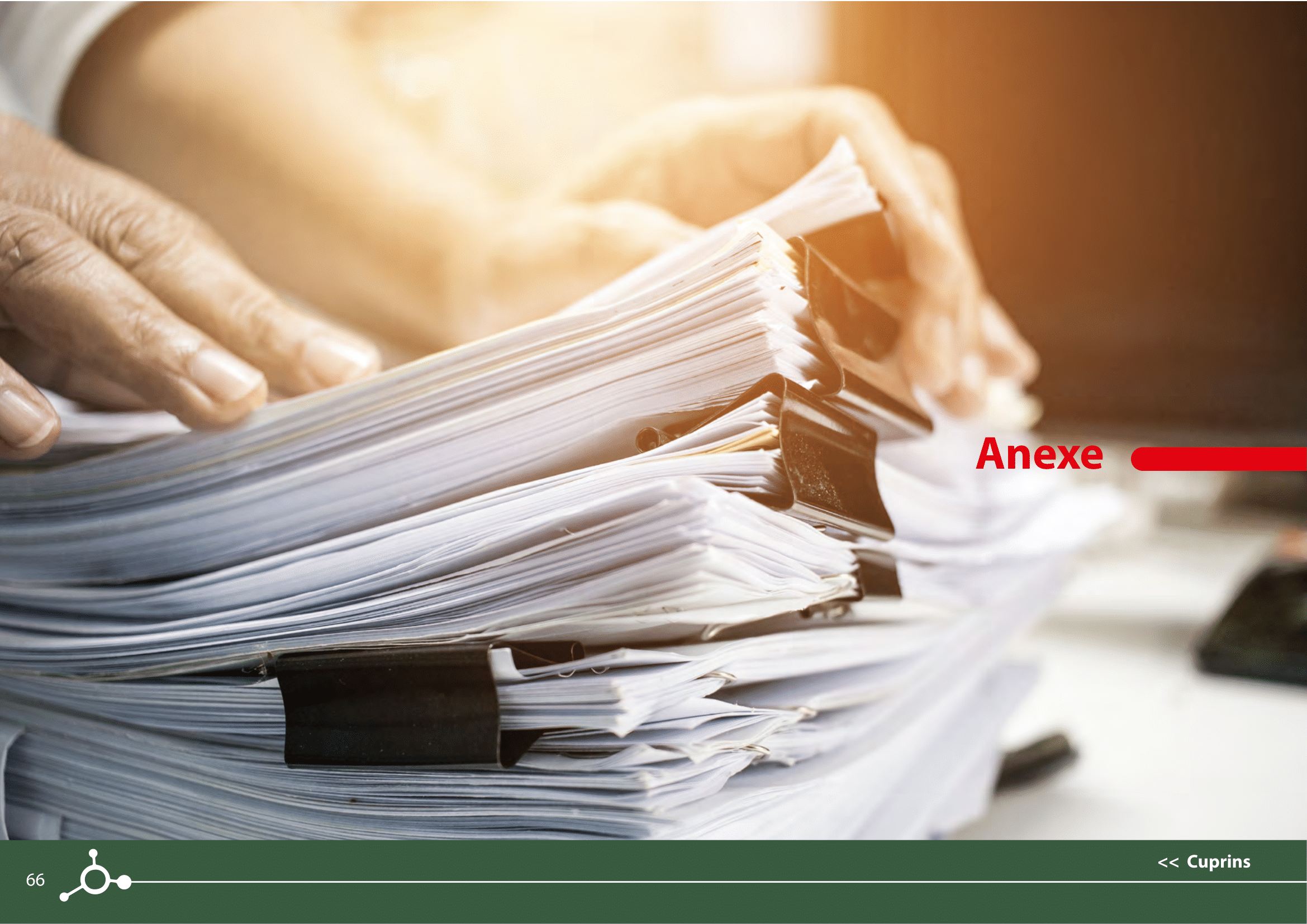 Rapoarte de sustenabilitate 2021