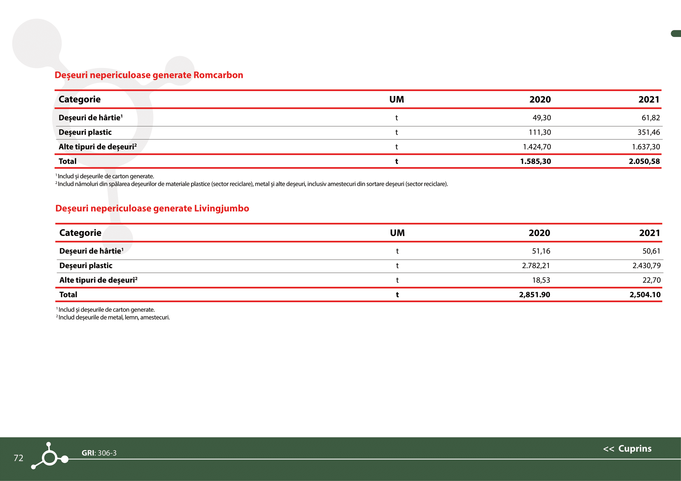 Rapoarte de sustenabilitate 2021