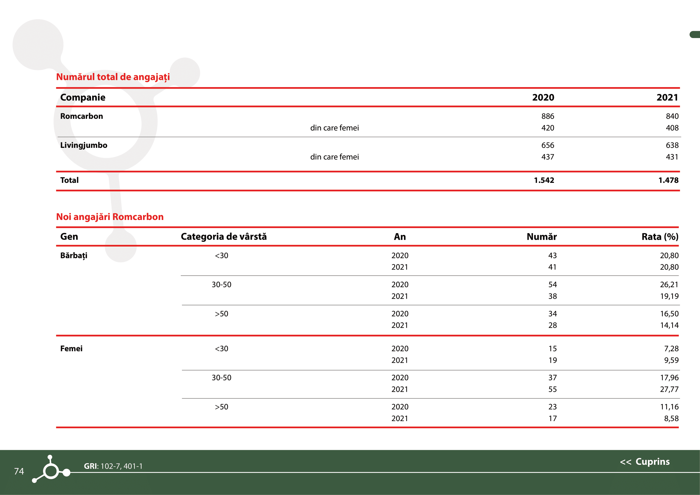 Rapoarte de sustenabilitate 2021