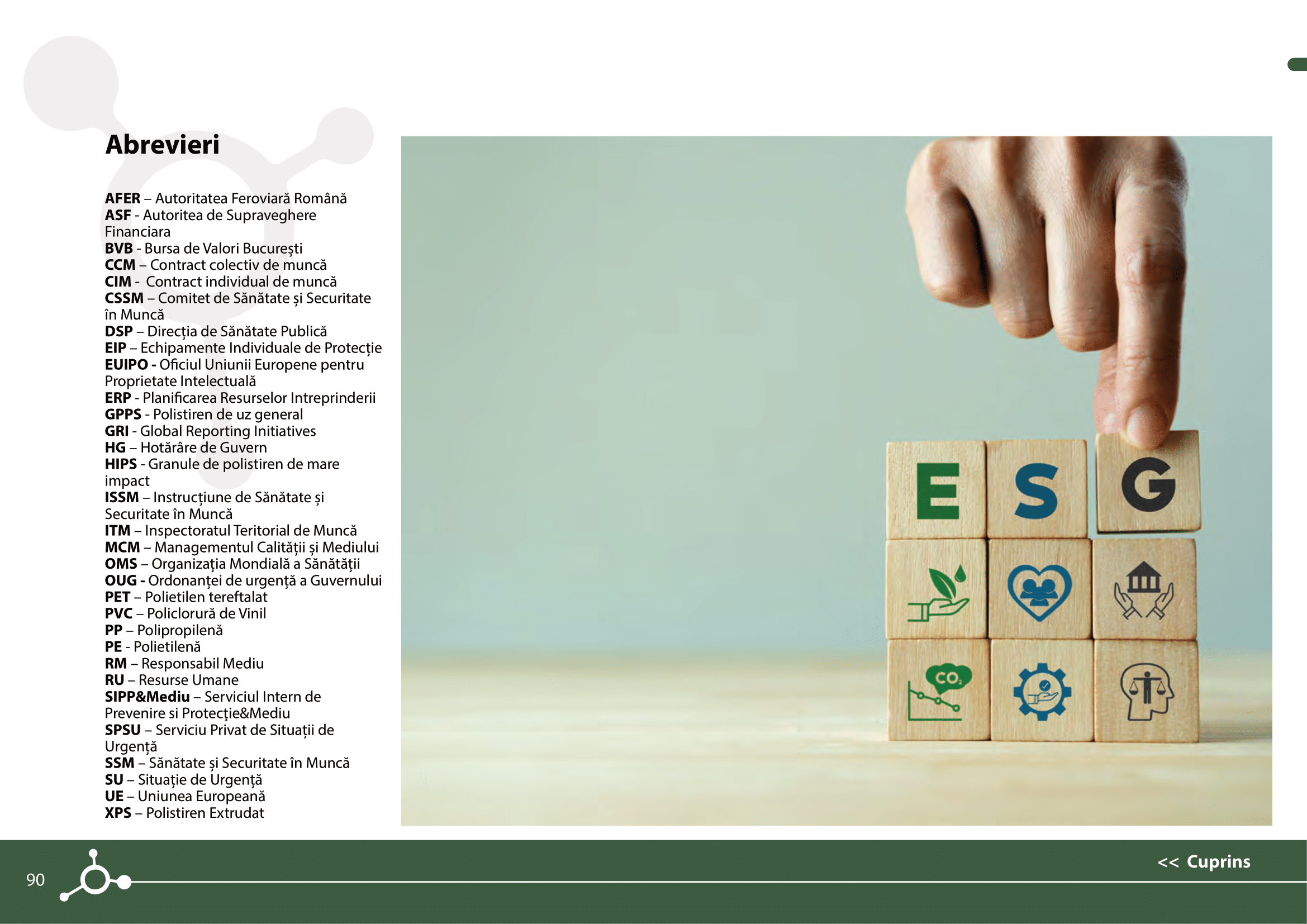 Rapoarte de sustenabilitate 2021