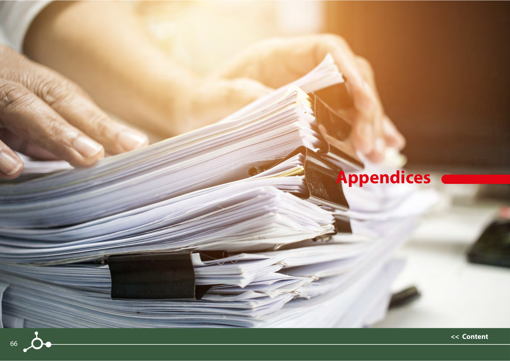 Sustainability reports 2021