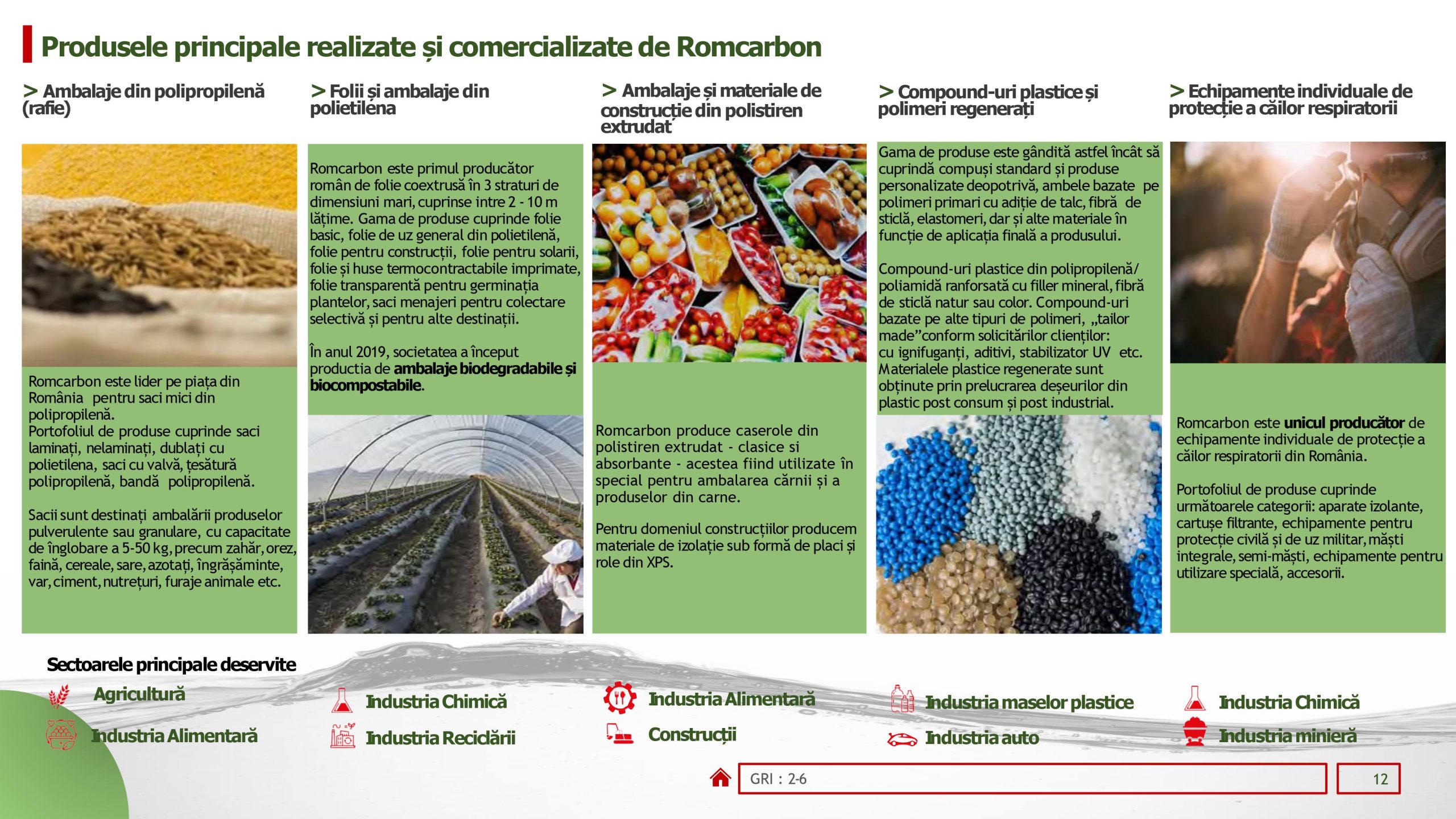 Rapoarte de sustenabilitate 2022