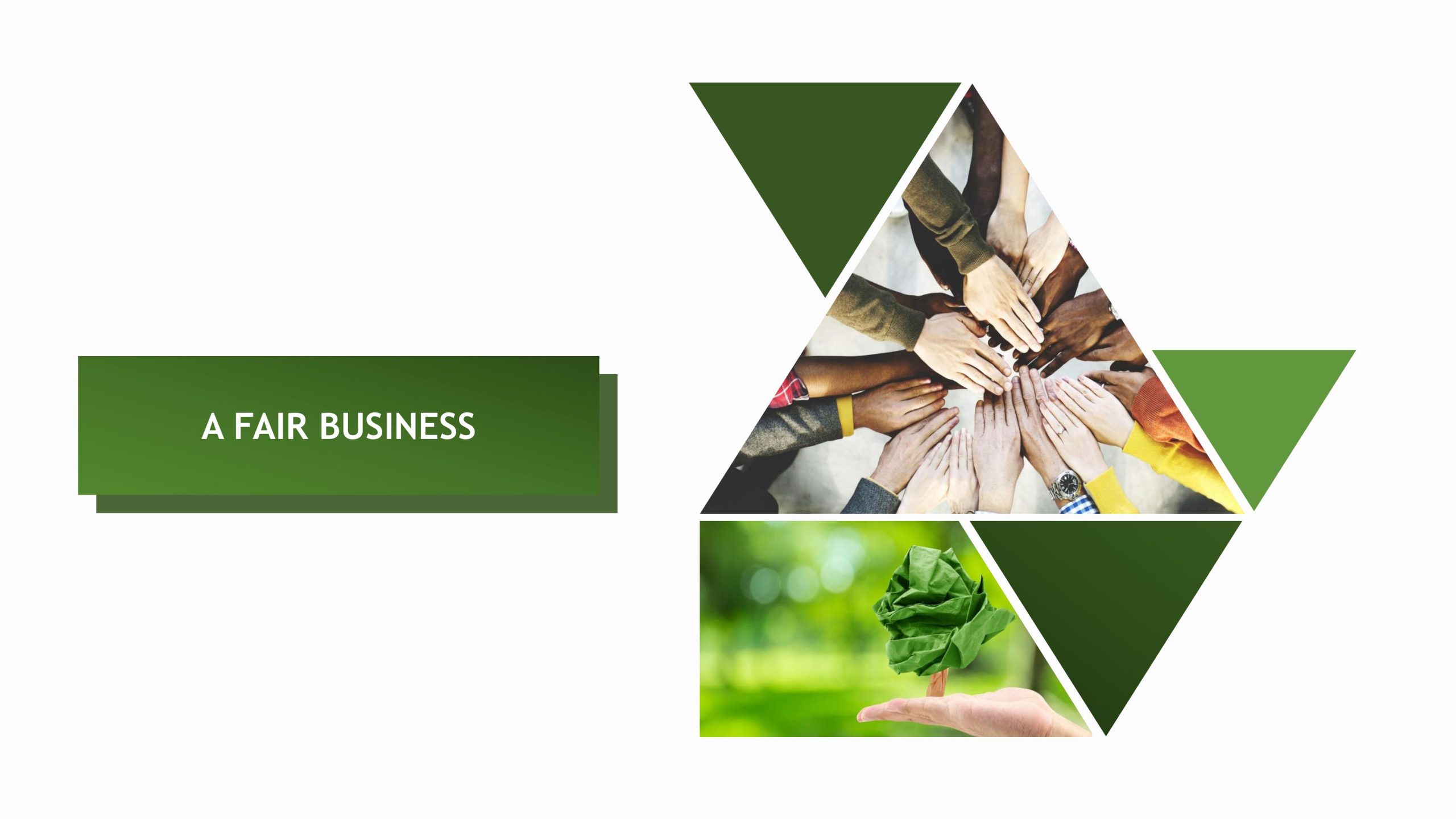 Sustainability reports 2022