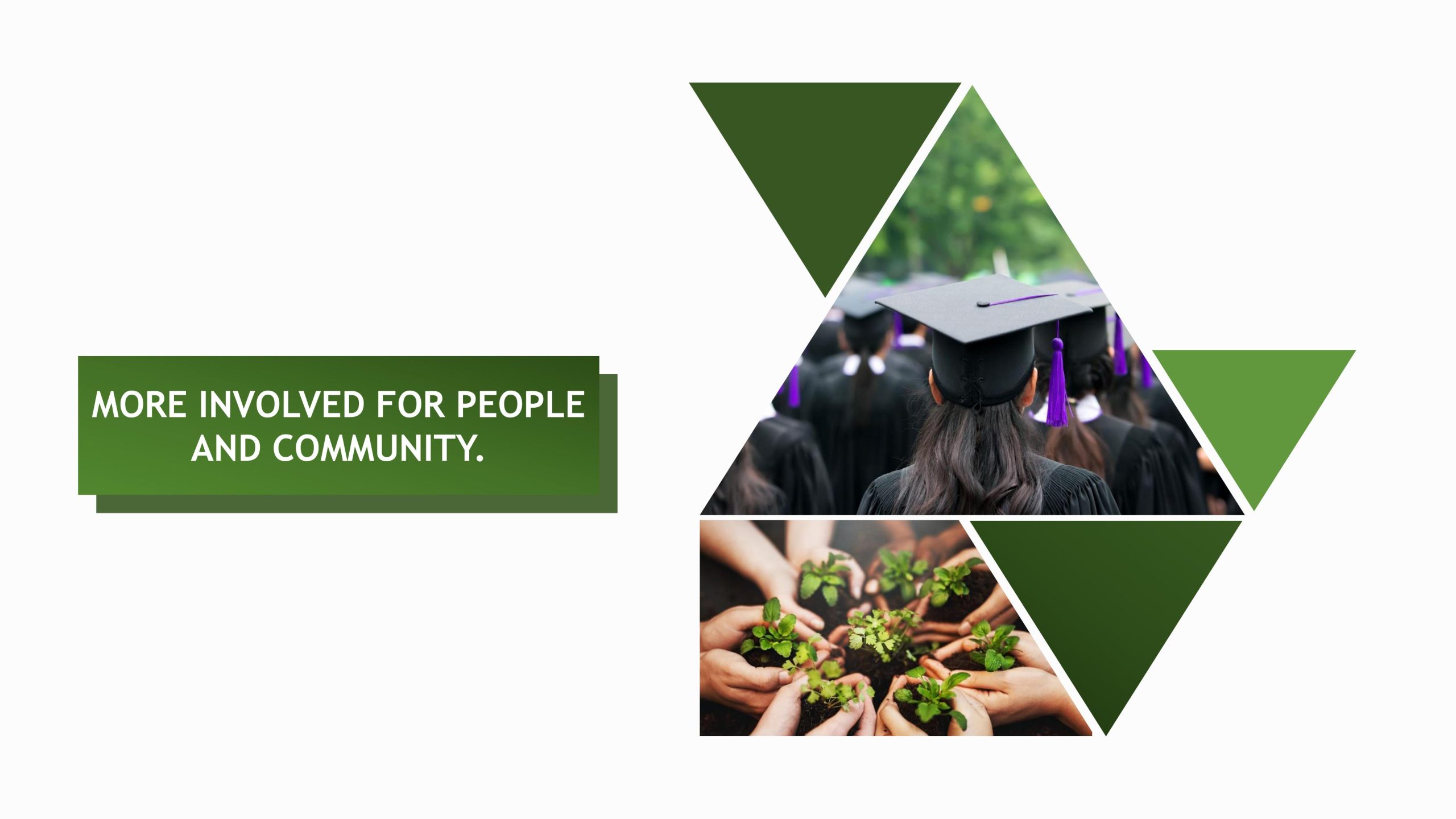 Sustainability reports 2022