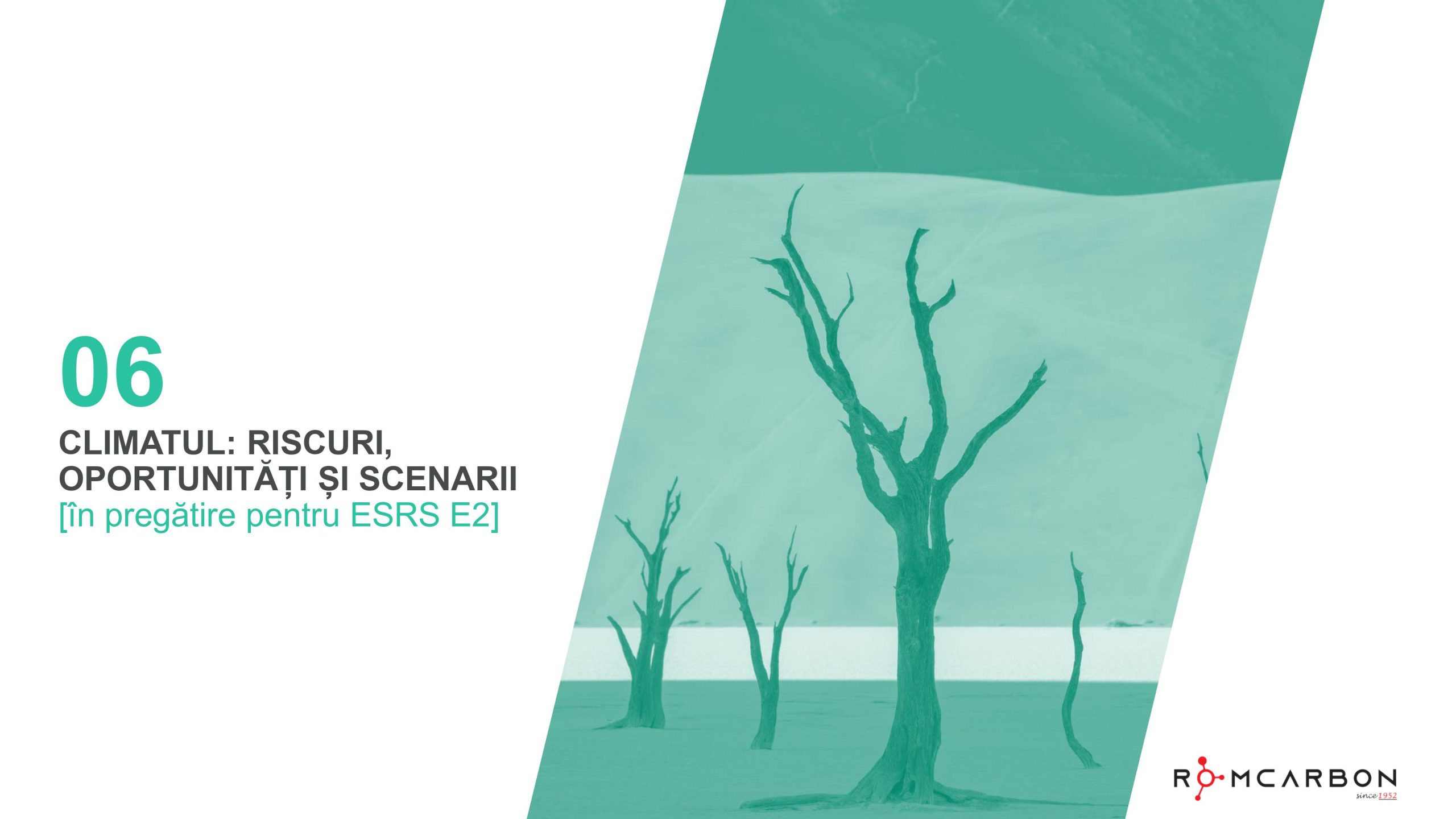 Rapoarte de sustenabilitate 2023